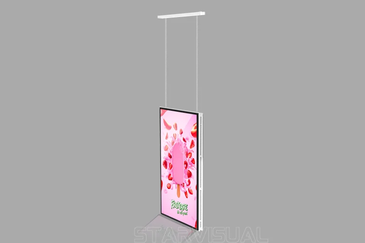 Window facing display 3000 & 700 nits High Brightness Hanging Double ...